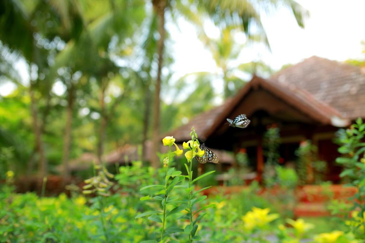 The Nattika Beach Resort Thrissur Zewnętrze zdjęcie