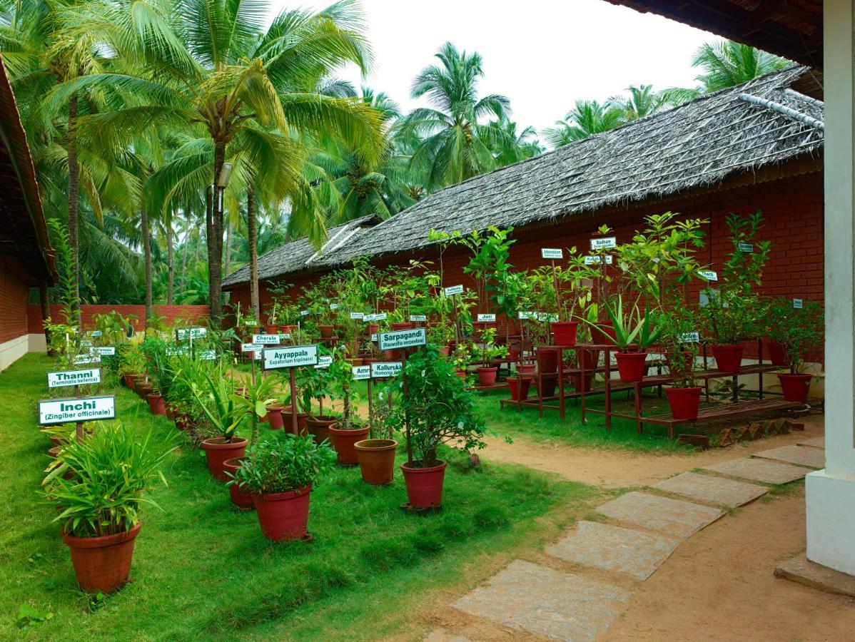 The Nattika Beach Resort Thrissur Zewnętrze zdjęcie
